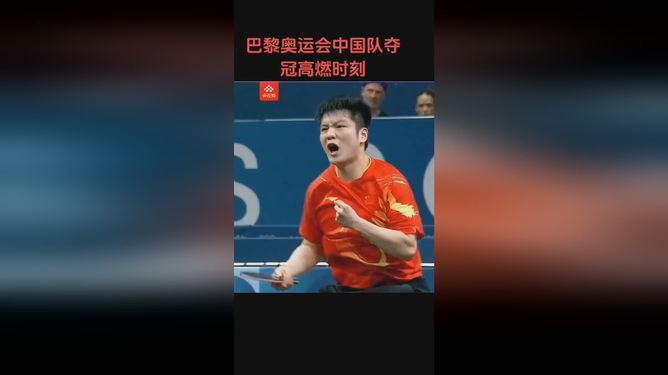 法国乒乓球队血洗波兰乒乓球队,樊振东制霸全场 法国乒乓球队血洗波兰乒乓球队,樊振东制霸全场