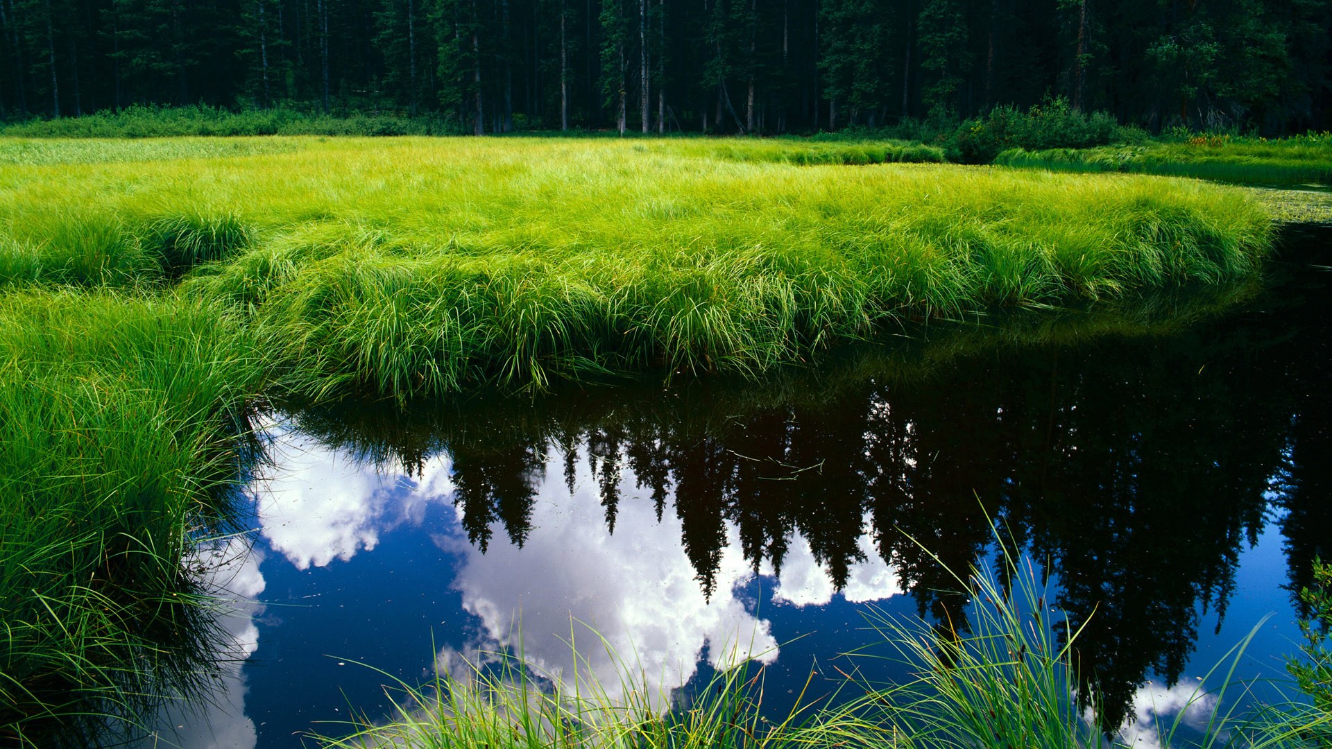 当阿尔卑斯山鹰掠过斯坦福桥，门迪如何用双手封印了蓝色巨人的咆哮