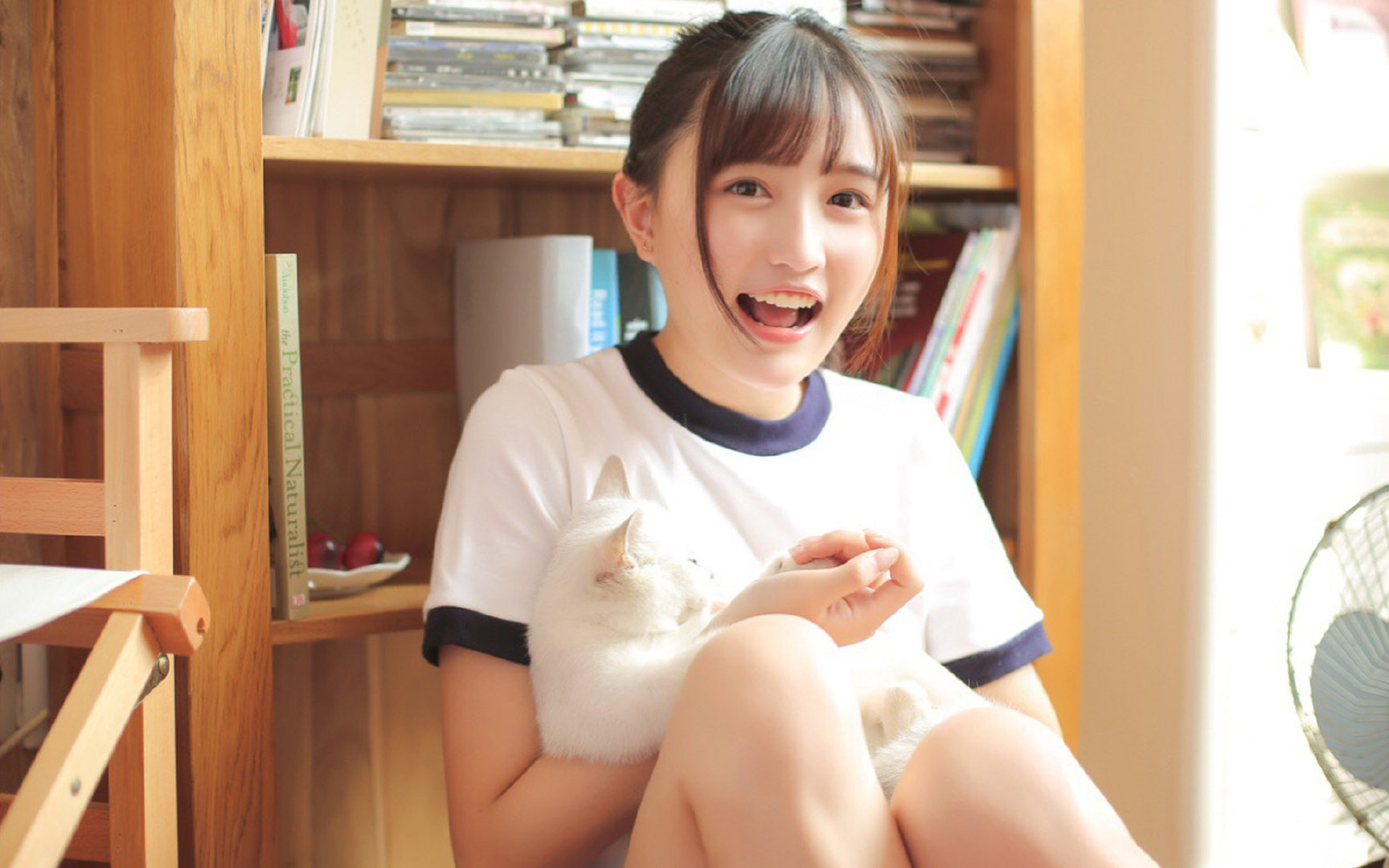 凌晨四点，我们输了，却逼出了一位绝望的独裁者