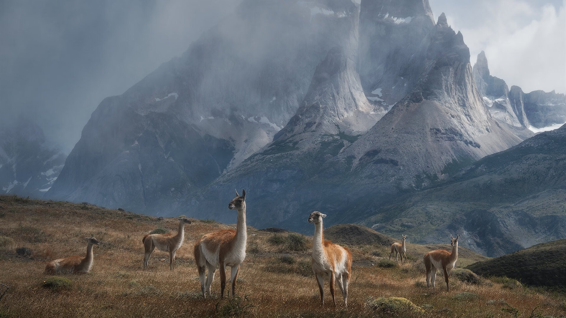 烽火亚平宁,当钢铁防线撞上红黑洪流,范戴克在米兰德比的余烬中定义伟大