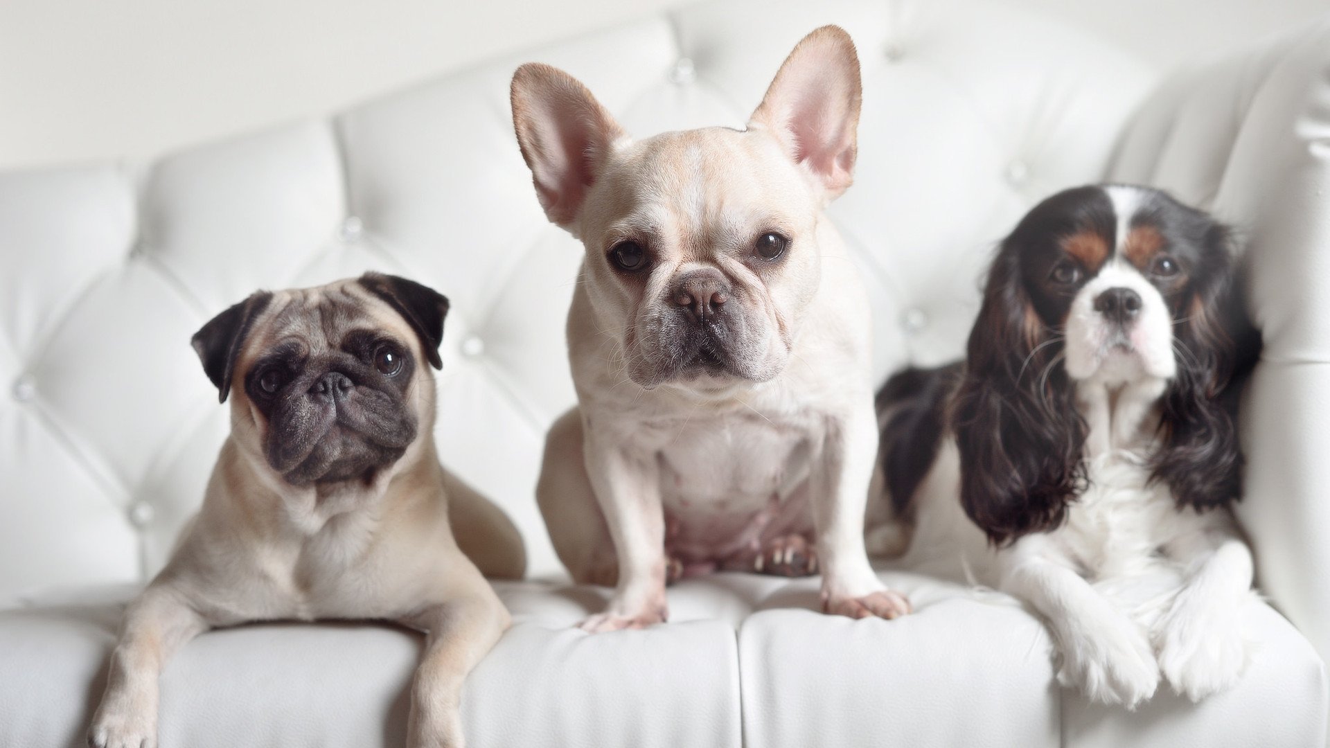 绿衫军风暴席卷汉普顿！奥纳纳神扑定江山，爱尔兰3-0碾压苏格兰