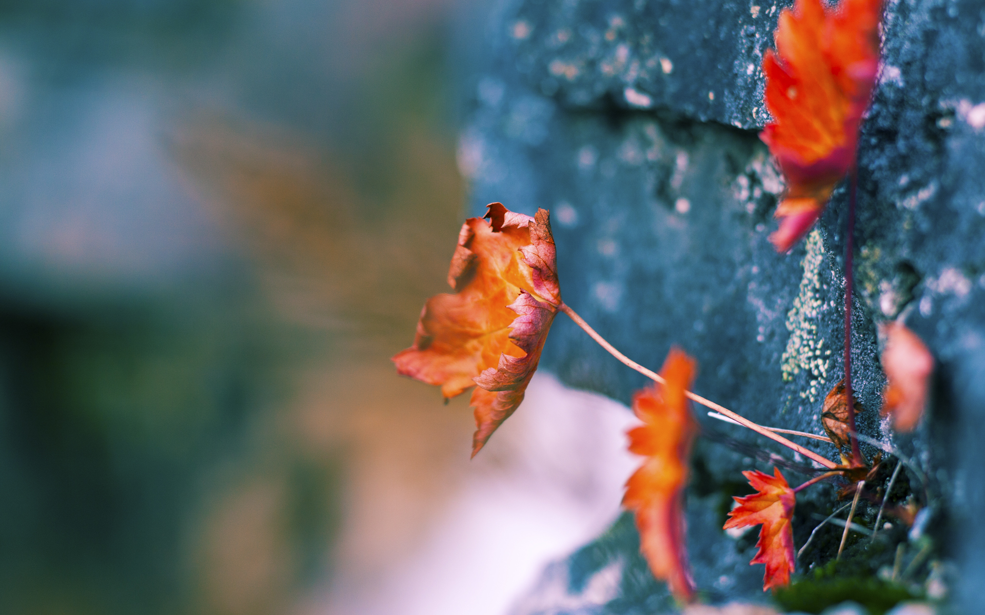 哈登化虚影为利刃，尼克斯鏖战上海，东方明珠之下的关键先生