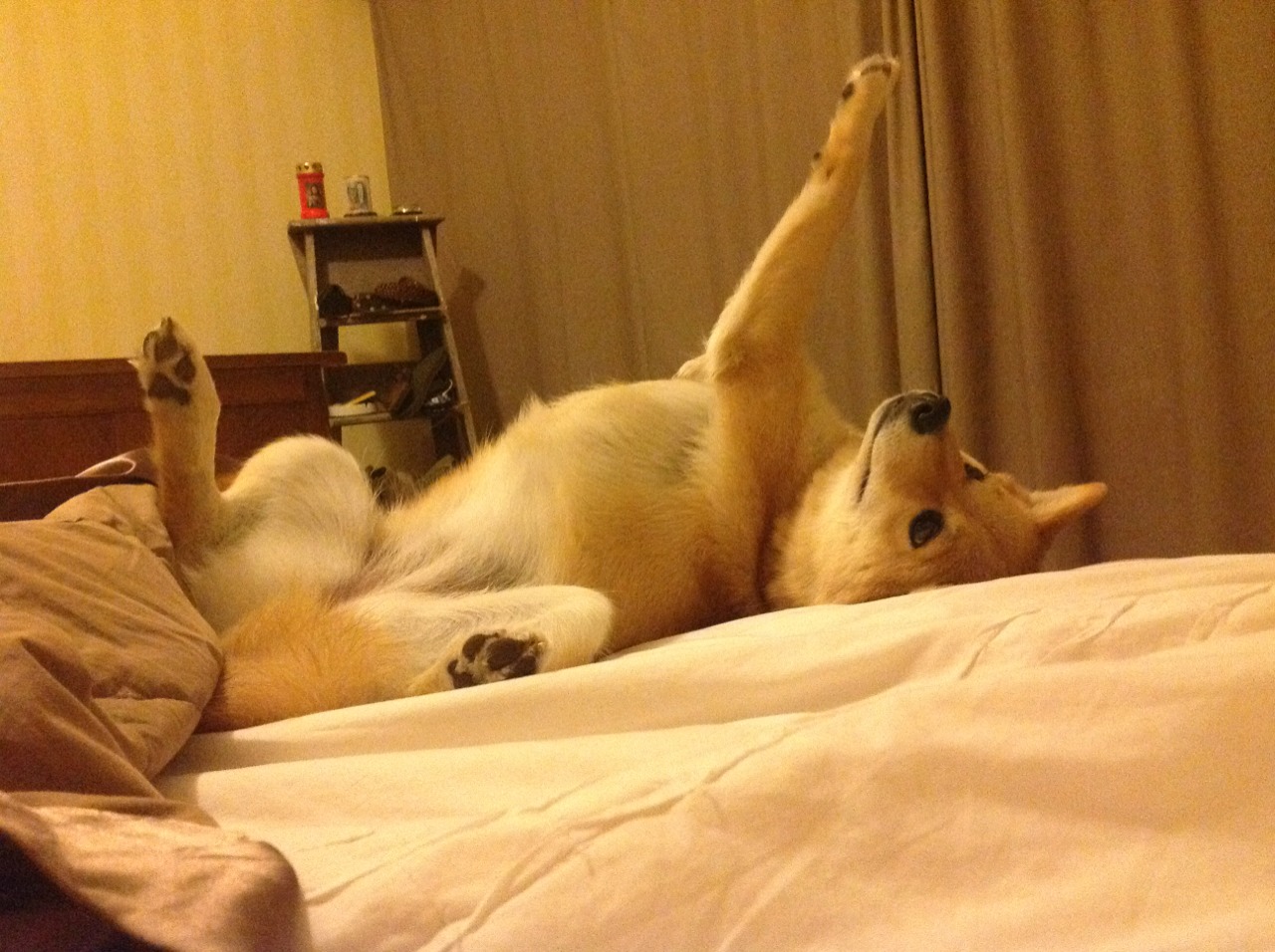 欧冠半决赛焦点战，76人轻取凯尔特人—一场时空错位的体育盛宴