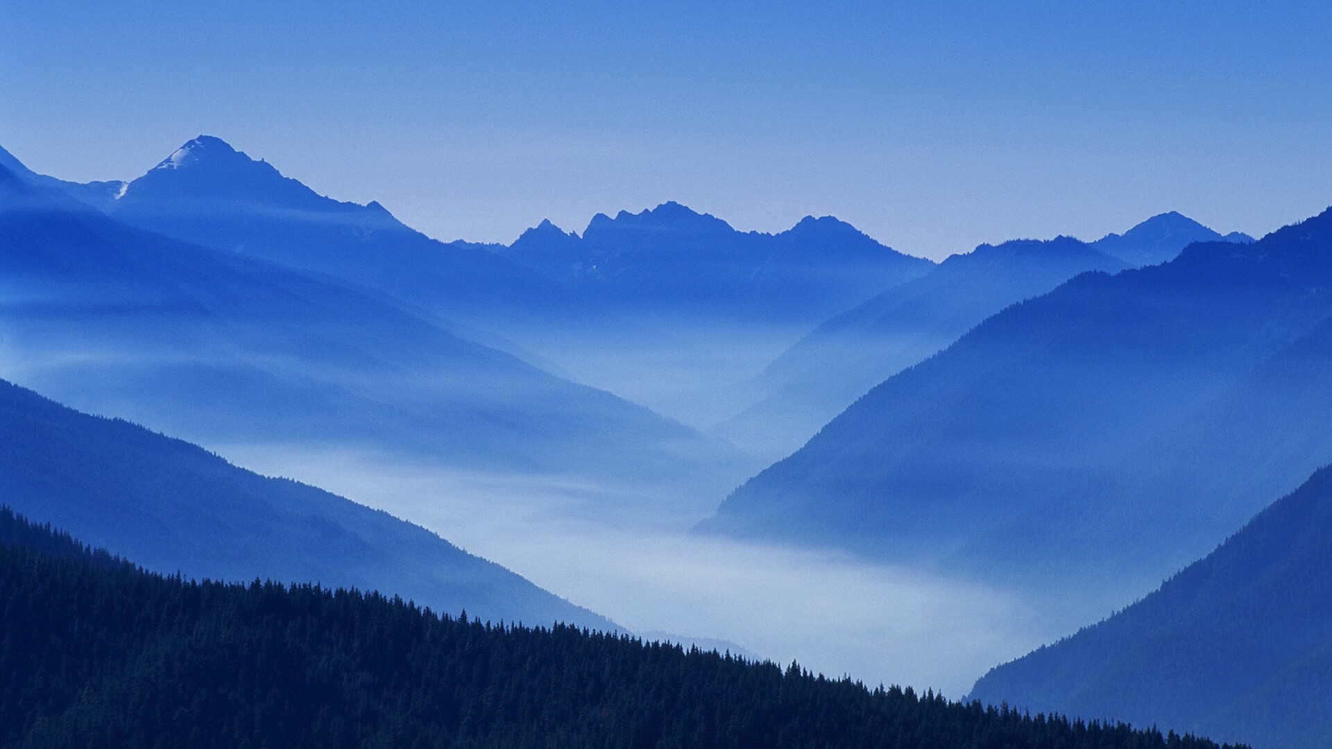 孤勇者的唯一一次,2026世界杯D组,莱万用一场不完美胜利定义波兰的宿命