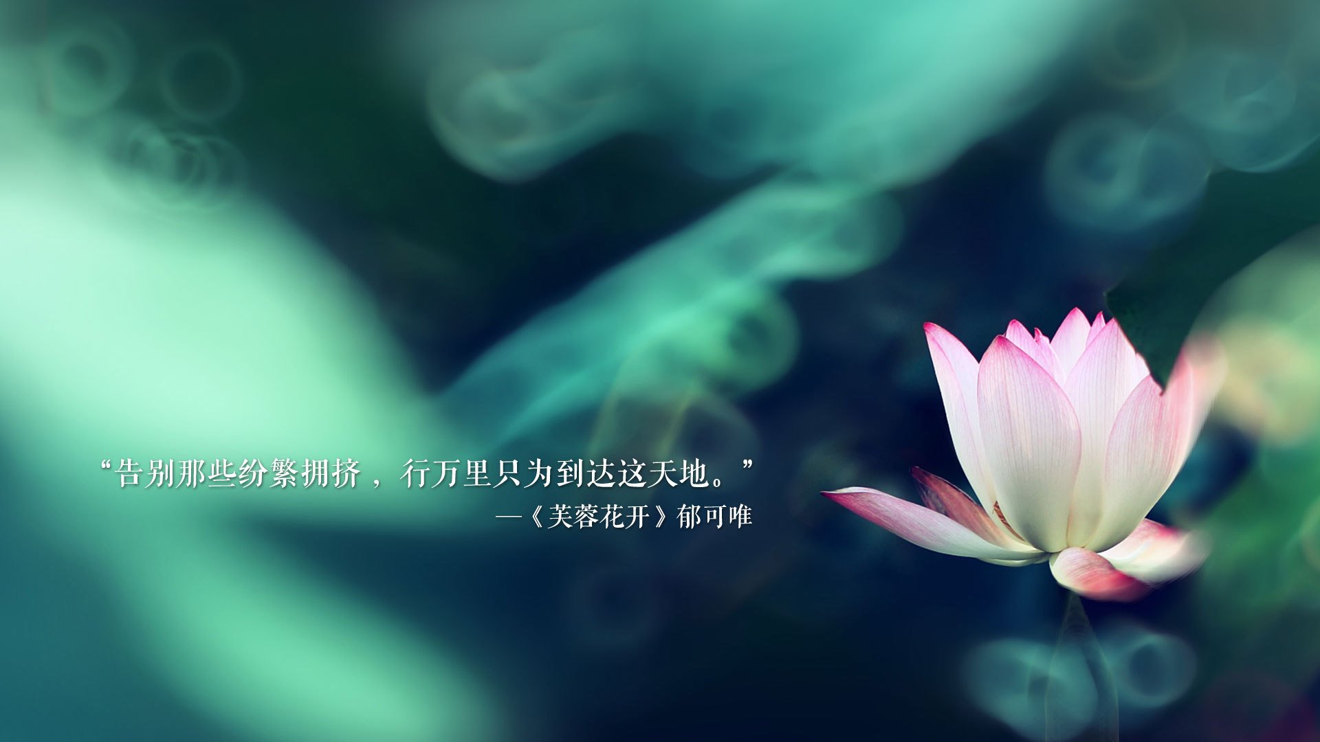 恒河之怒与桑巴之舞,2026世界杯G组焦点战,印度横扫挪威,内马尔上演世纪逆转