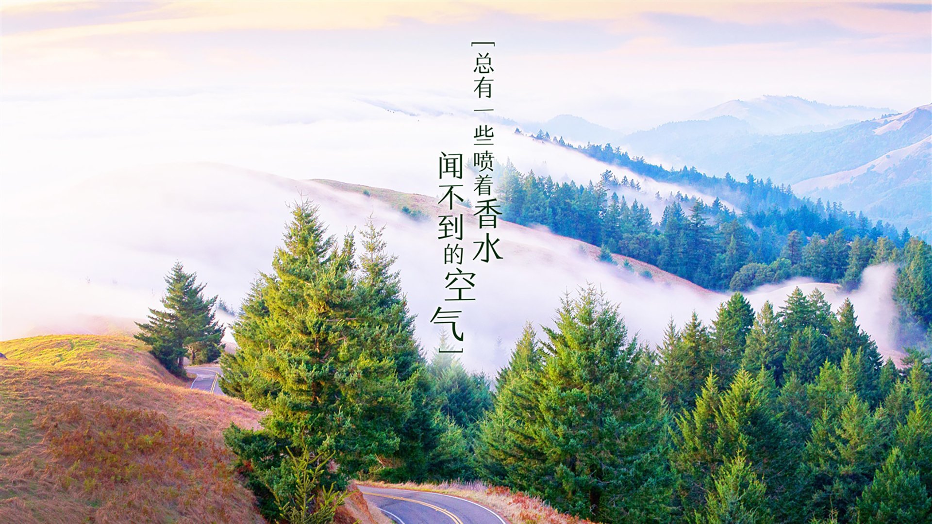 宿命对决中的唯一答案,2026世界杯D组,葡萄牙黄金一代的终极正名,塔雷米用光芒刺穿郁金香