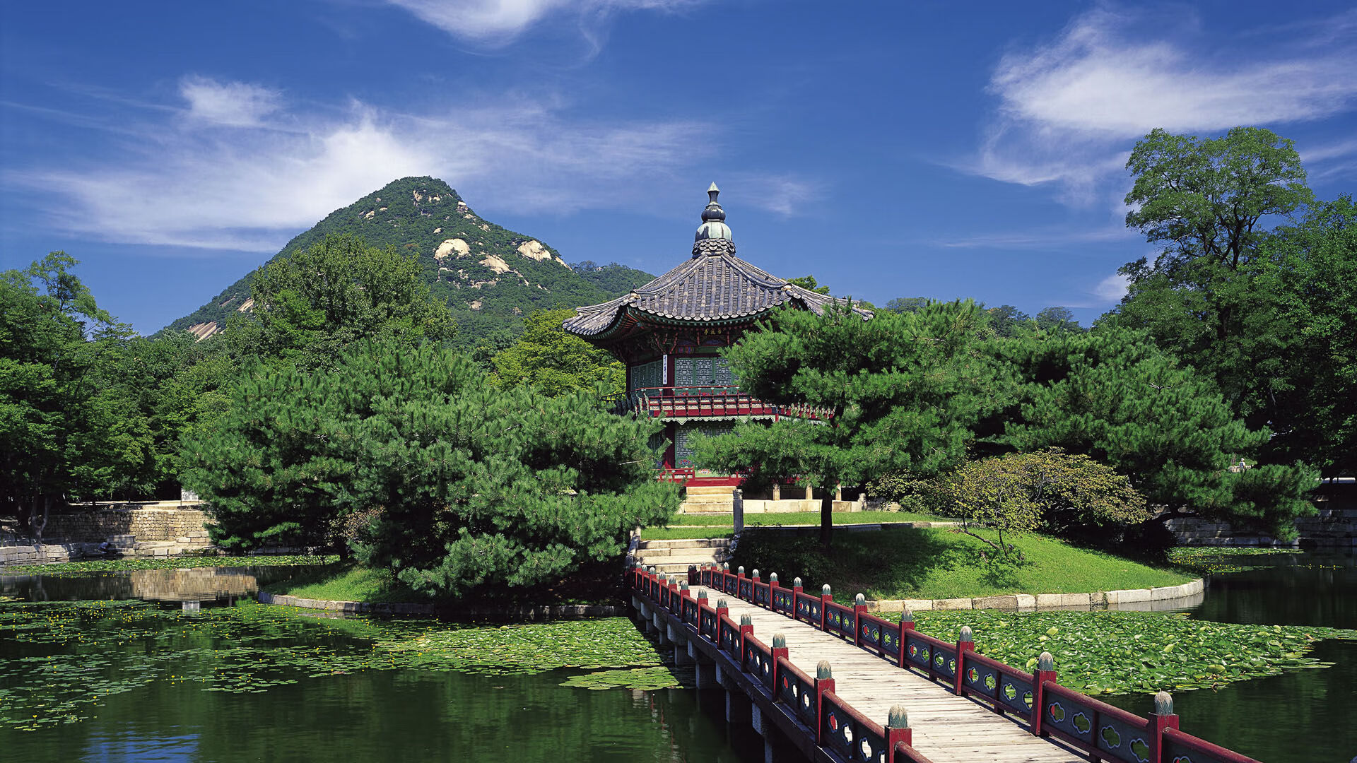 2026世界杯G组史诗级对决,印度碾压美国,吉鲁闪耀全场,防守铸就唯一传奇